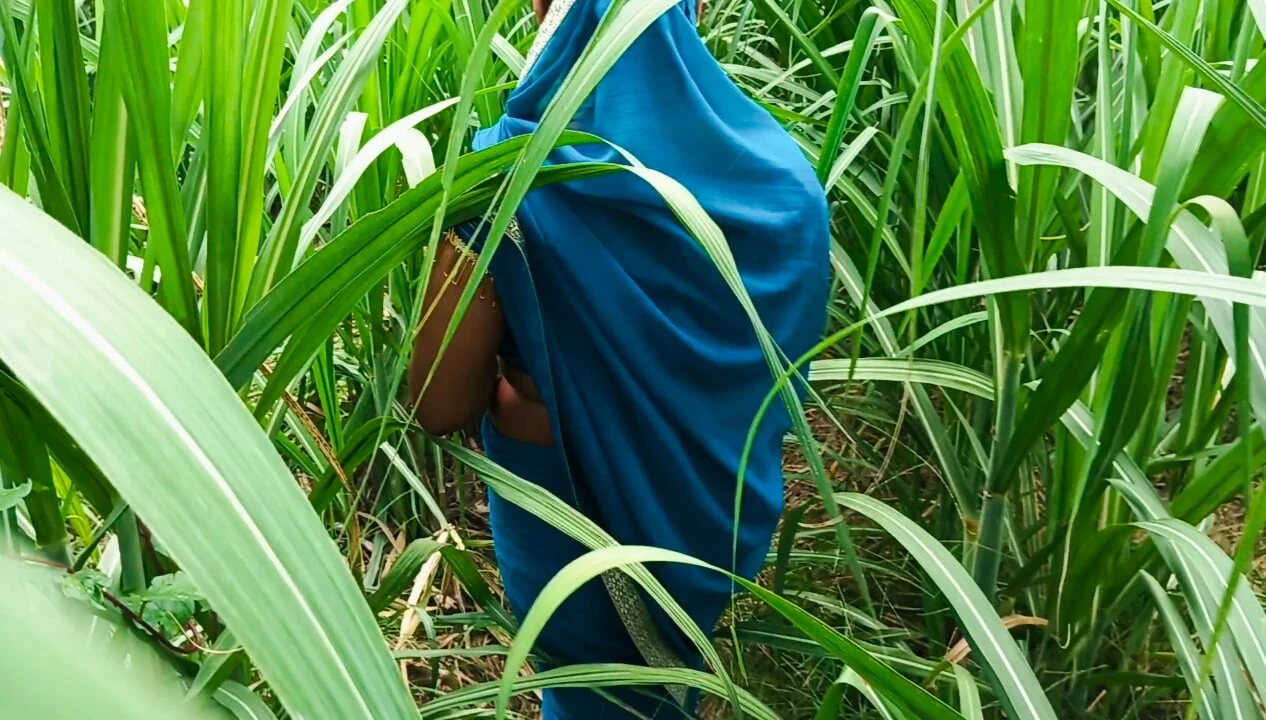 Desi bhabhi ki chudai mouth and gand in sugarcane field in Indian porn video