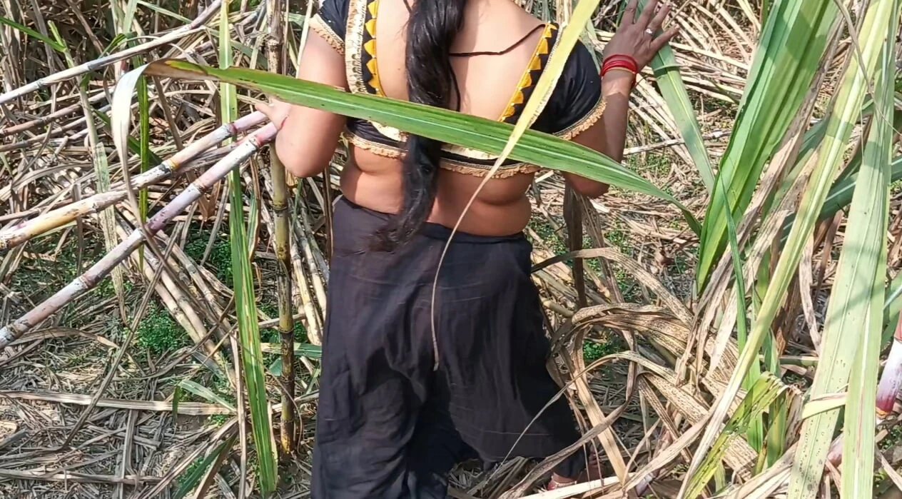 My sexy wife and I in the sugarcane field in Mast Chudai Indian Video